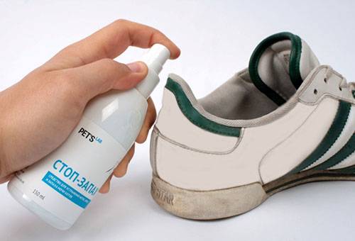 Produit pour chaussures contre l'odeur d'urine de chat