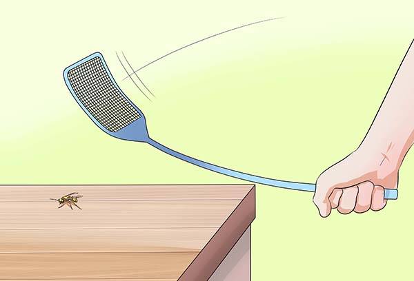 Ang pagpuksa ng mga wasps sa pamamagitan ng isang swatter