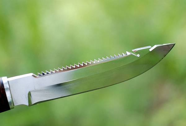 Cómo elegir un cuchillo para limpiar pescado: una descripción general de las mejores