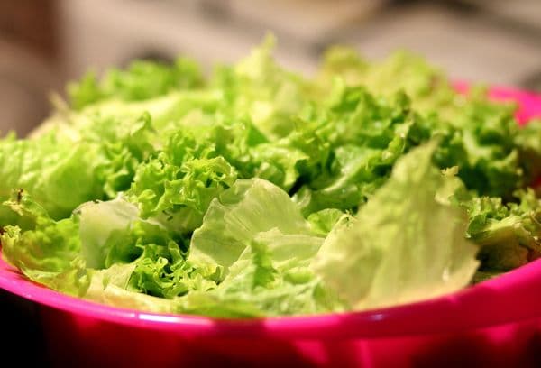 Mosott zöld levél saláta
