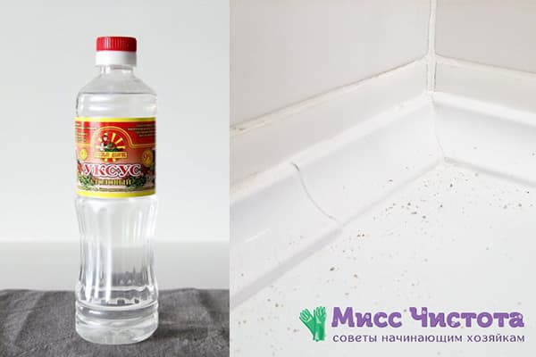 Vinegar against mold in the bathroom