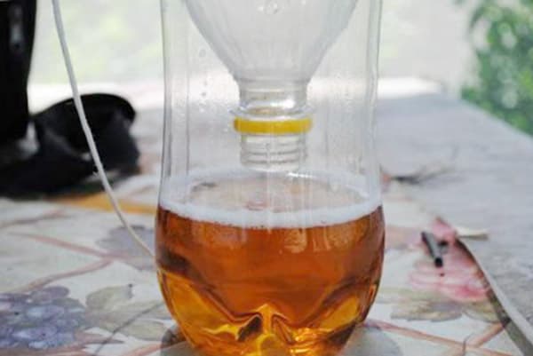 Fly bottle trap