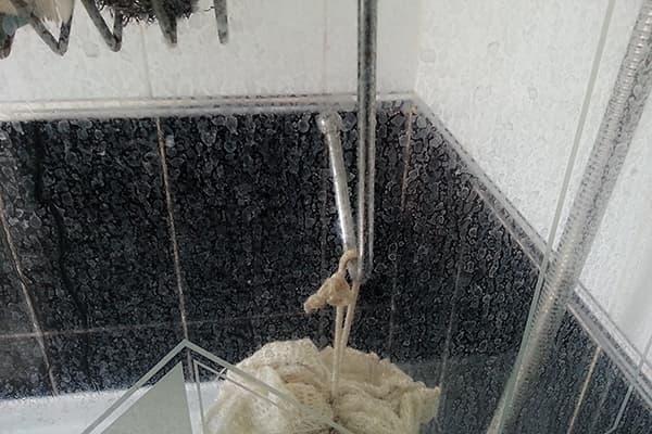 Pete din apă tare pe paharul de la duș