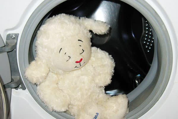 Peluche dans la machine à laver
